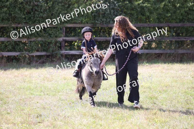 20260906-2782 - Class 25 - Absolute Beginners Pony