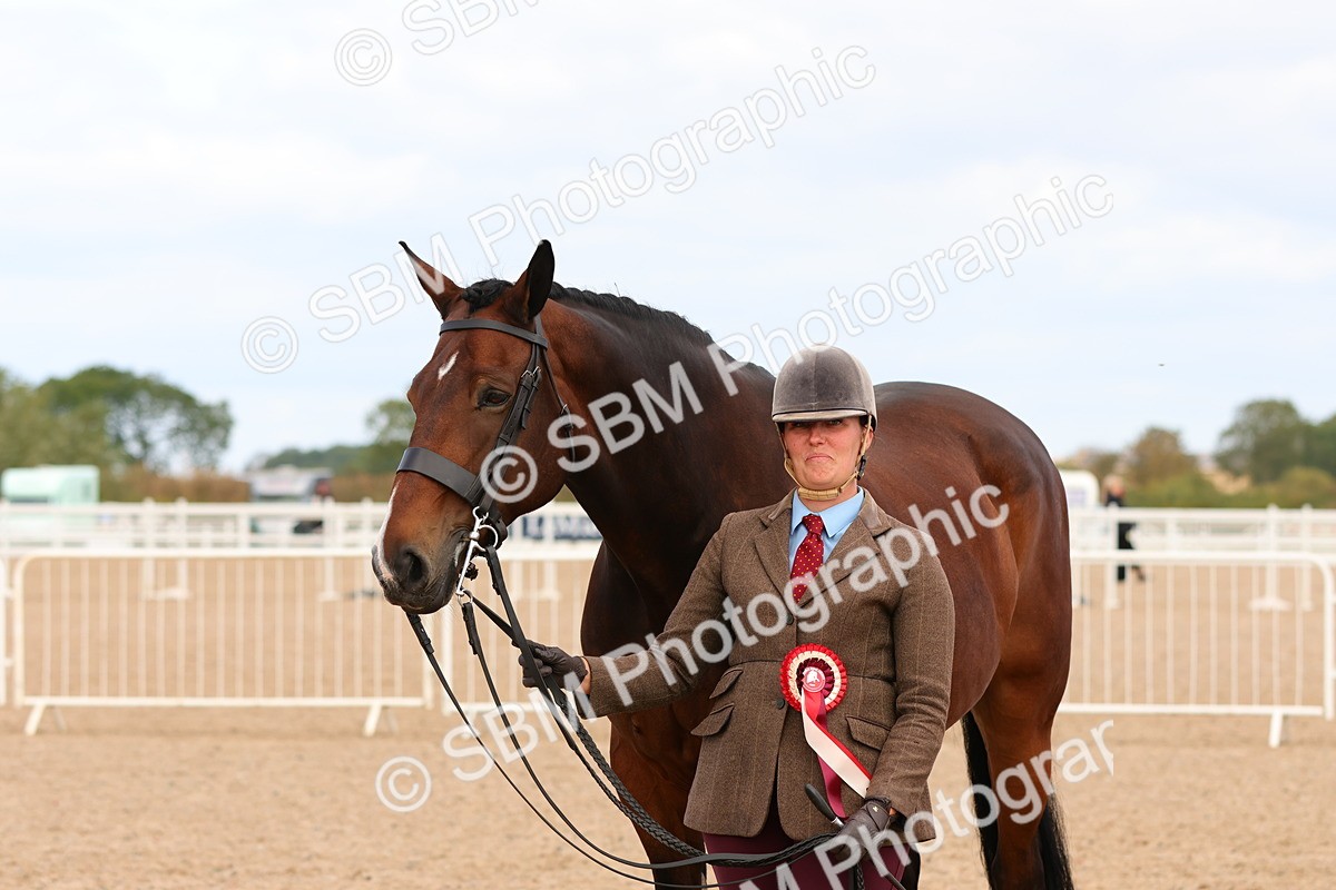 SBM_12360 - Class 210 - IH Show Horse