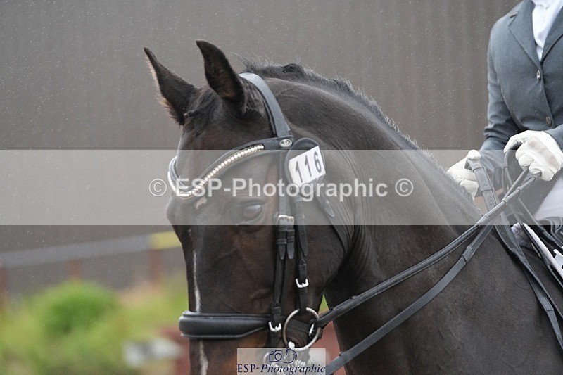 250907-142258-07749 - 116-Louise.CupittEnergiek.N