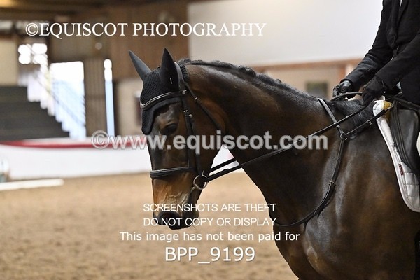 BPP_9199 - ELEM 6