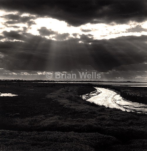 Breydon 'Sun Rays' - Limited Editions