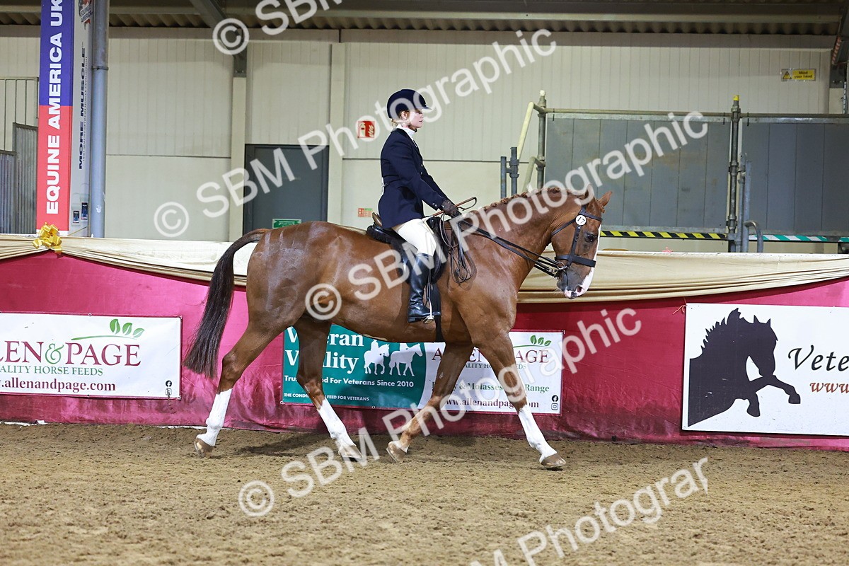 SBM_15396 - Class Q - Ridden Horse Champ