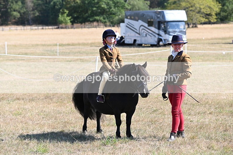 WJ6_7568 - Class 34 Judges Choice