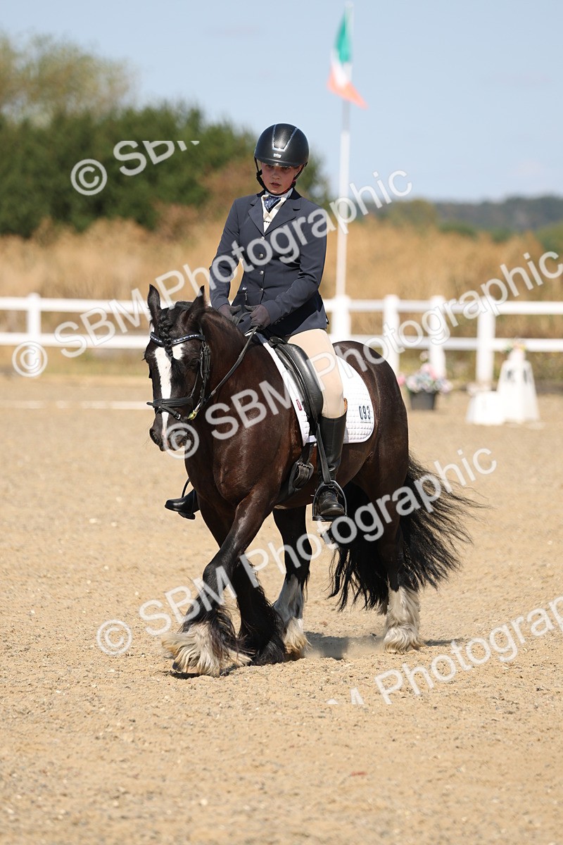SBM_013536 - Class 1 - P5 Bronze 10.38.12.02