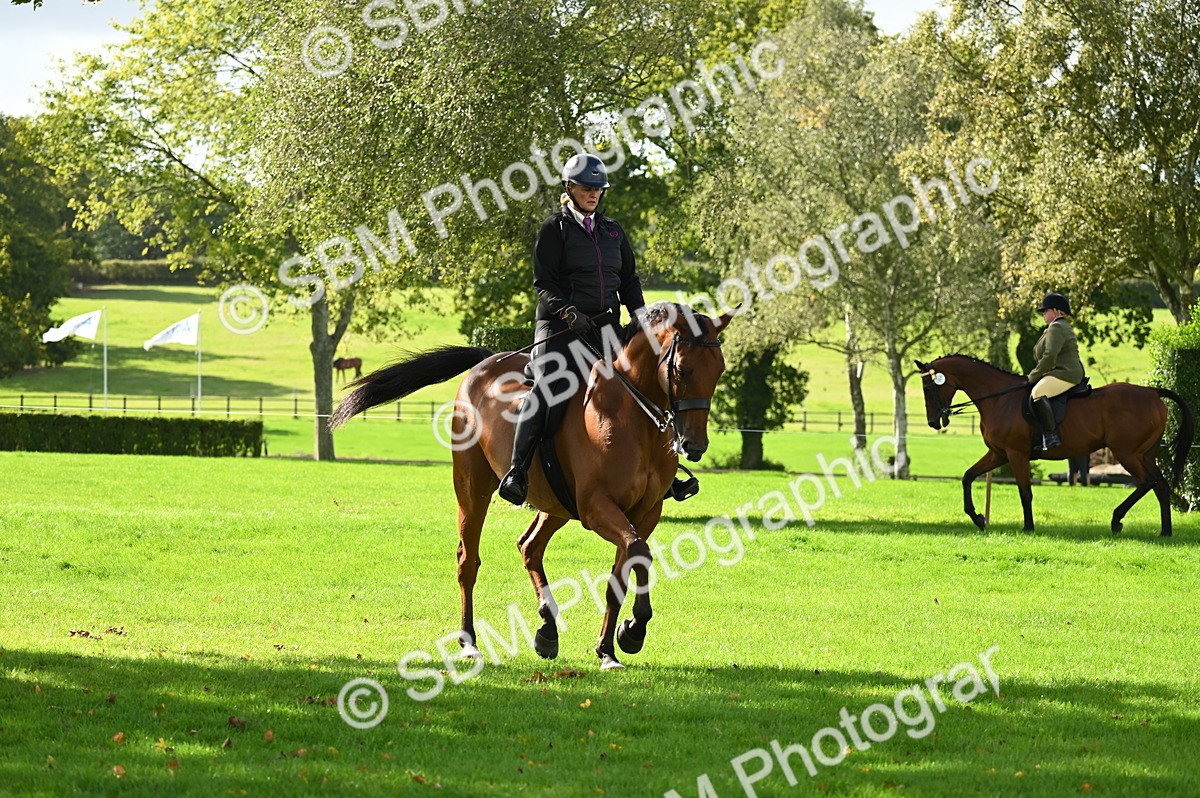 SBM_01525 - S2 - TSR Ridden Horse Showing