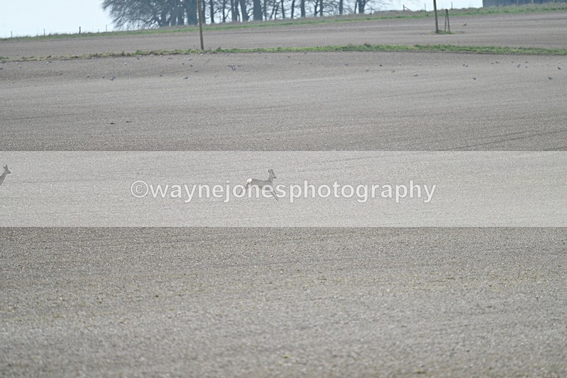 WJ7_7957 - Line 2 A camera