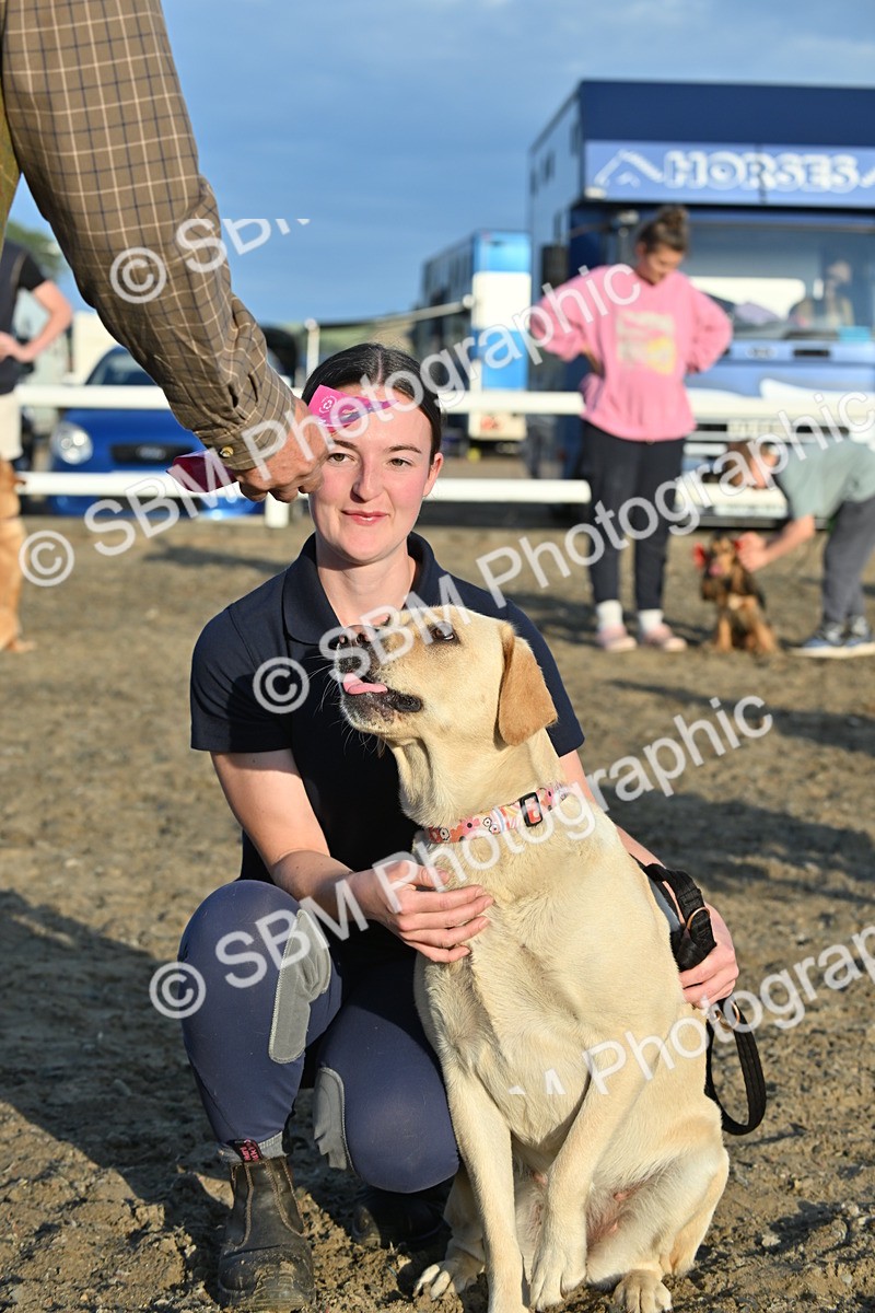SBM_09453 - Lorry Dogs