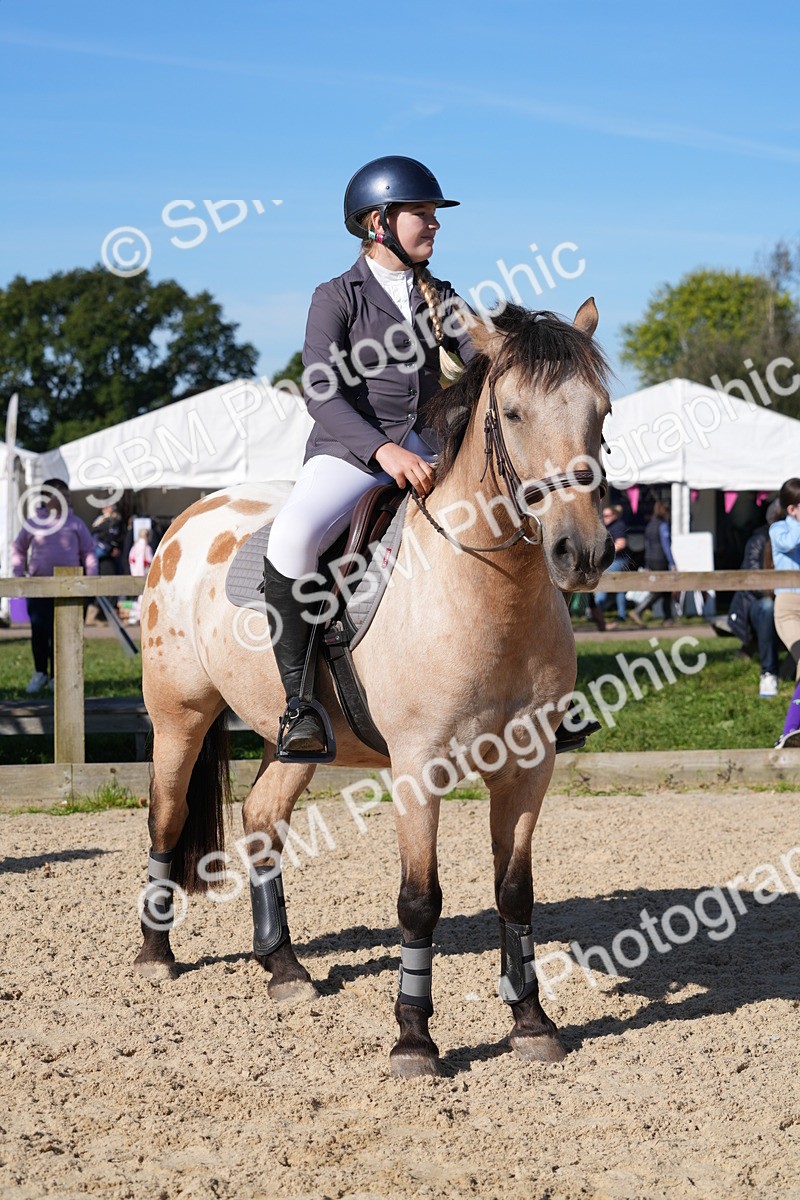 SBM_36258 - J 20 - Junior Horse 50cm Championship