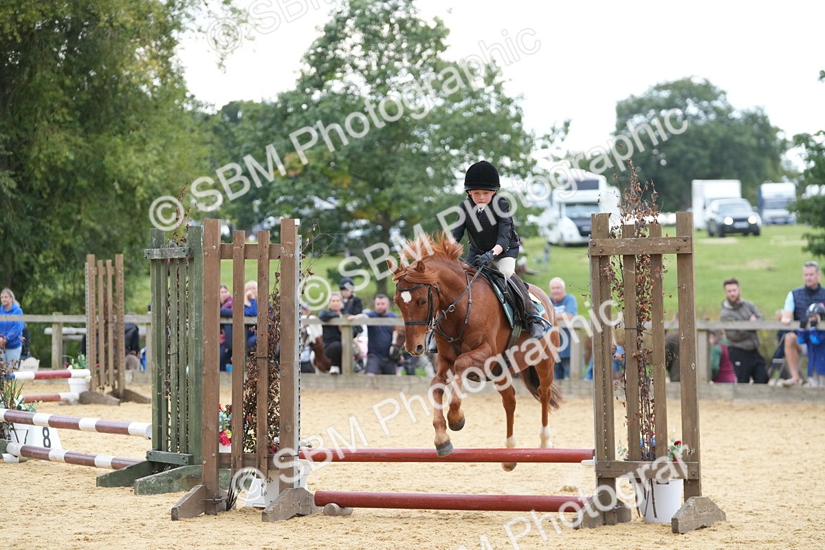 SBM_74624 - J4 - Mini Tour Junior Pony 45cm Championship