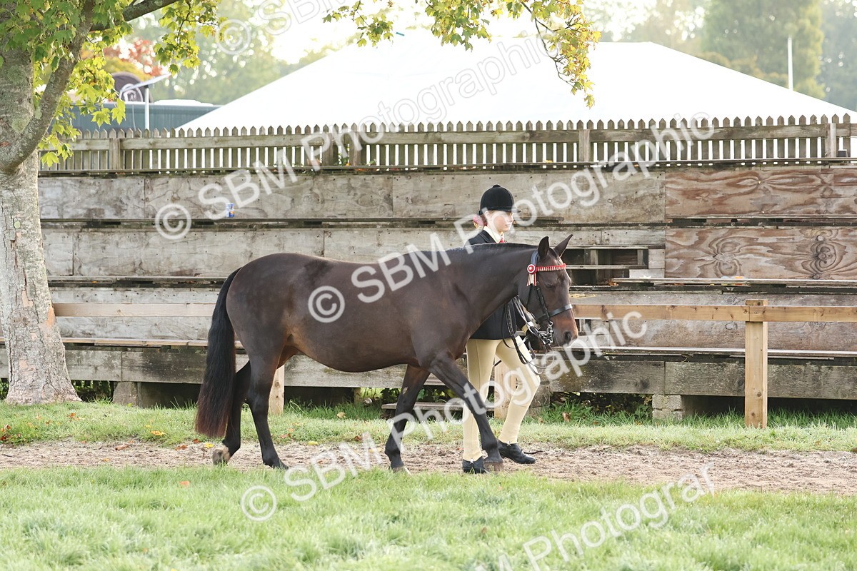 SBM_54498 - S38 - Starters Best Turnout