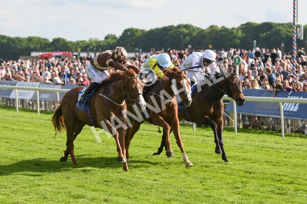 yr21052022r7-24 - Race 7: 5:15pm Reg Bond Always and Forever Stakes