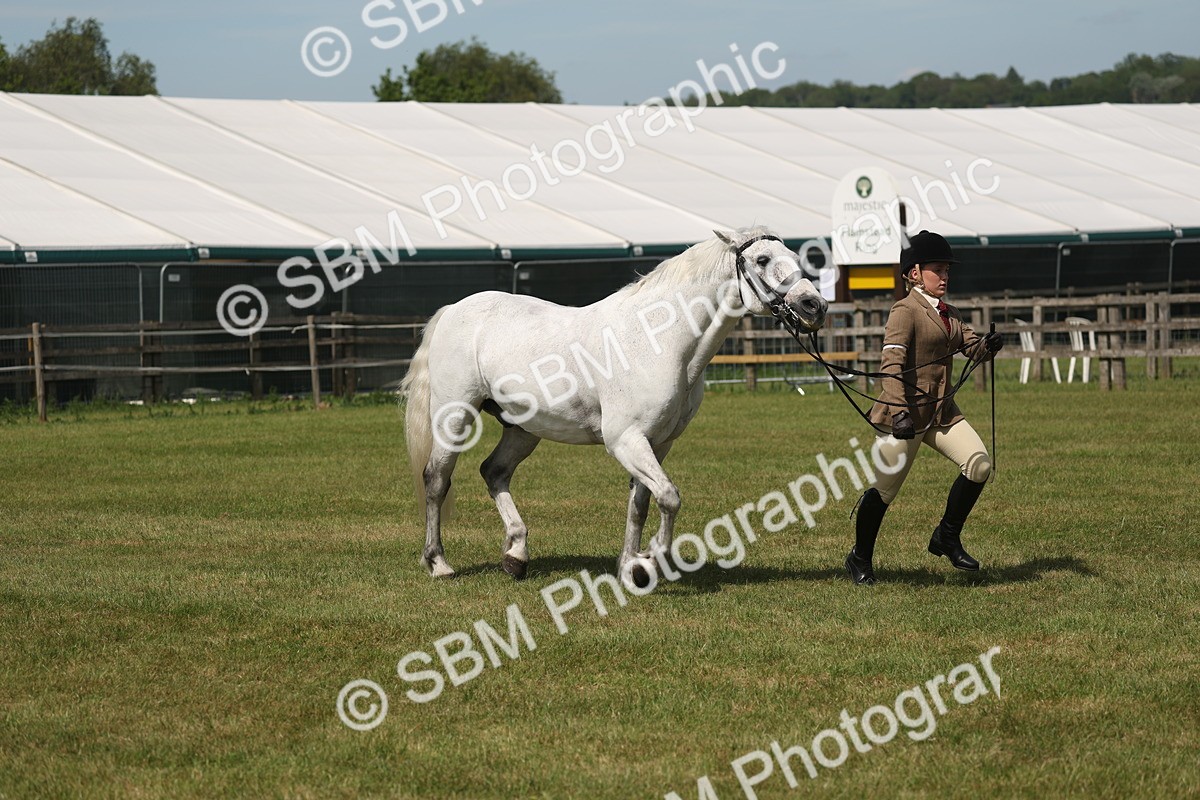 SBM_07628 - Class 26-30 - Mountain and Moorland Ridden