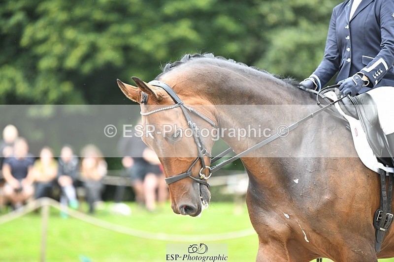 230812-124737-04220 - Cls 6 Novice Silver 12.10 to End