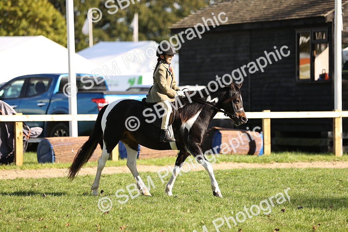 SBM_29328 - S7 - Novice & Newcomers Ridden Pony