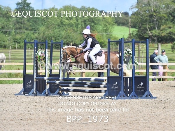 BPP_1973 - DERBY CLASS 5 - 60CM