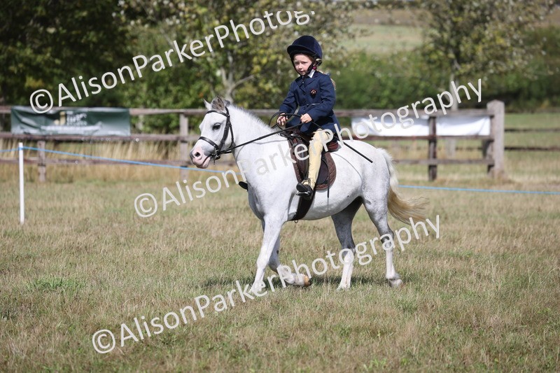20260906-3015 - Class 18 - Childs First Pony
