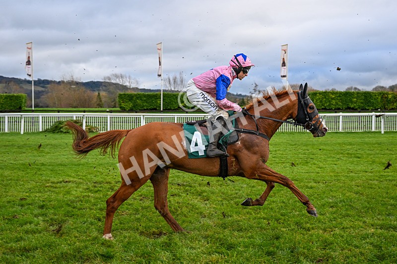 121225-Race 3-Fortune De Mer-5020 - Race 3