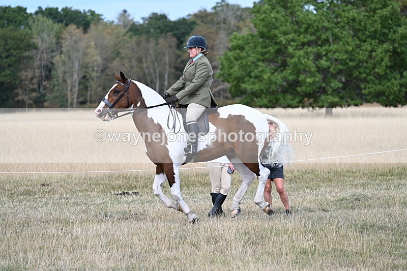 WJ7_7283 - Class 14 Ridden Coloured