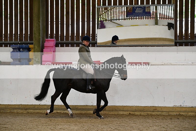 WJ5_7717 - Class 13 Ridden Part Breed