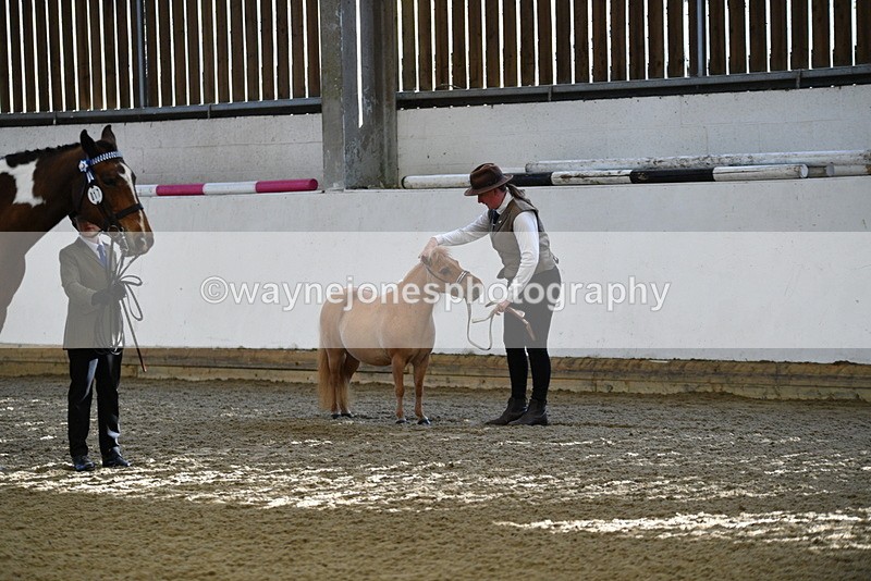 WJ5_3909 - Class 5 In Hand Veterans