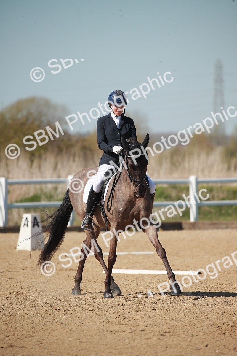 SJ3_1593 - Class 2-5-4-6-7 - Paso Doble-Golega-Sevilla-Lisboa-Novato