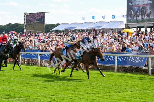 280625-Race 6-Dream Out Loud-0967 - Race 6 4.50pm Al Basti Equiworld Dubai Sprint Handicap