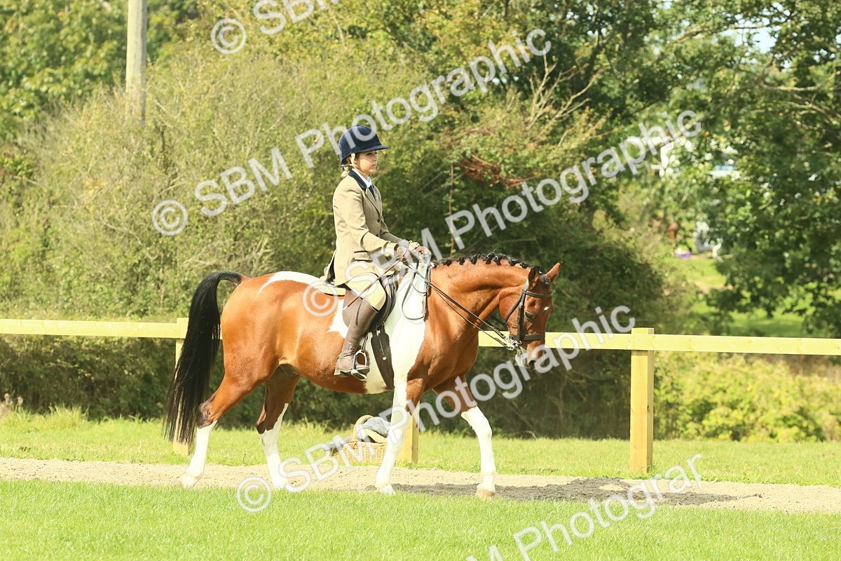 SBM_67380 - S56 - Coloured Pony Ridden