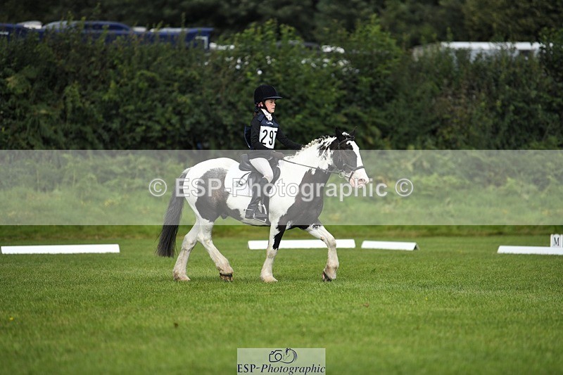 230826-113021-15885 - Sections C & D 10 to End