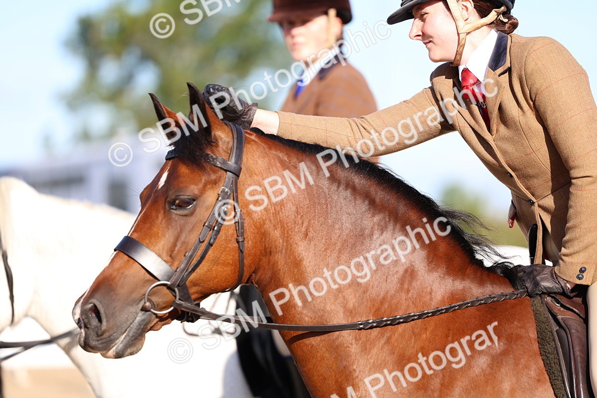 SBM_08846 - Class 302 - Ridden M&M - Large Breeds