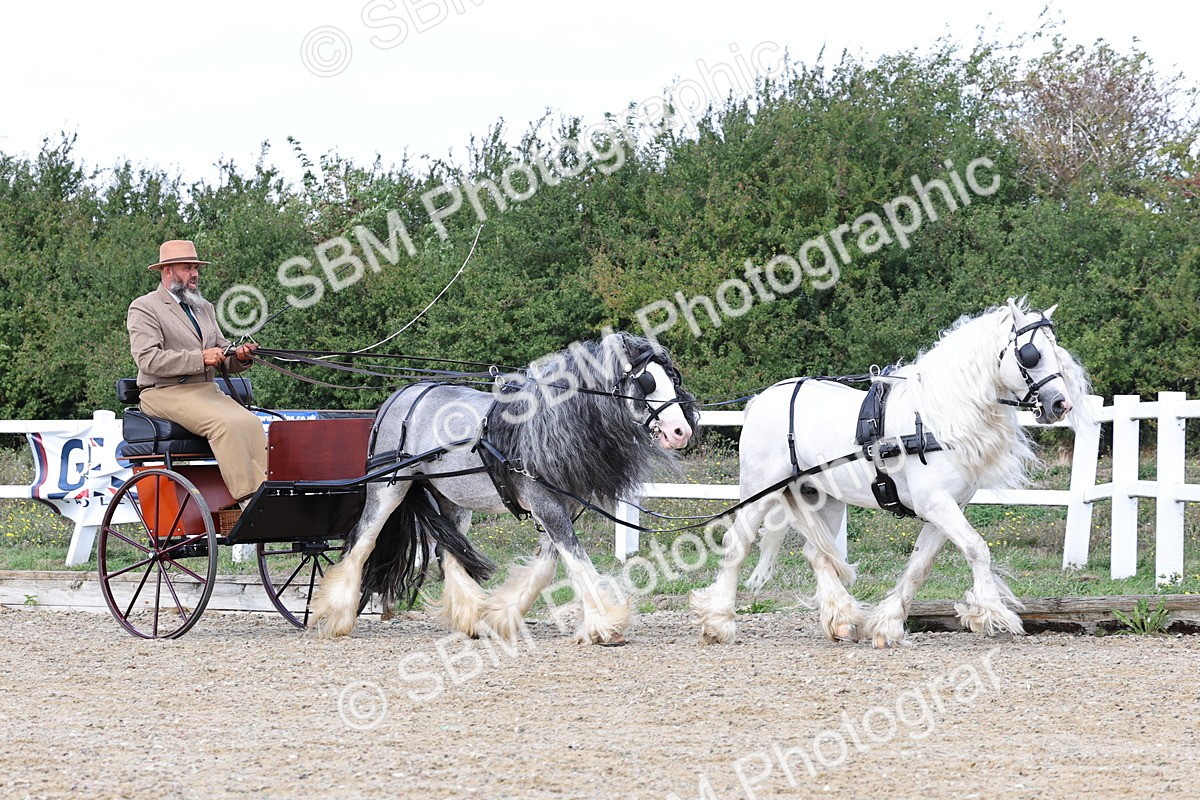 SBM_001169 - Class 16 - Pairs ,Multiples and Tandems