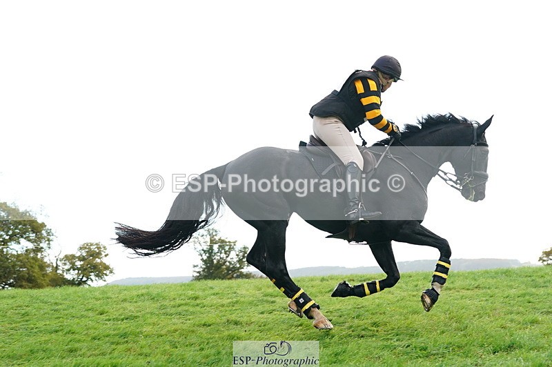 251025A-093116-15920 - D-315-Georgina.Marks