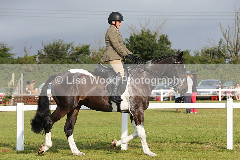 1X9A2828 - Class 25: Ridden Plaited Coloured Horse