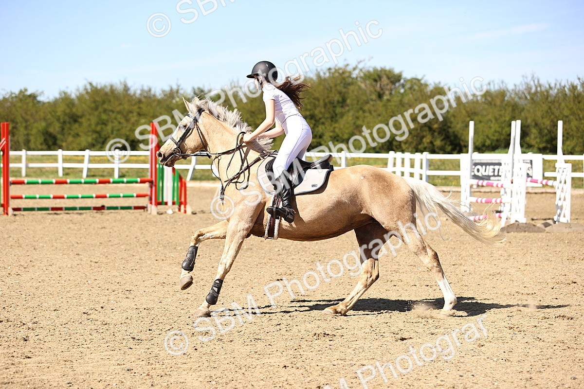 SBM_003156 - 90cm