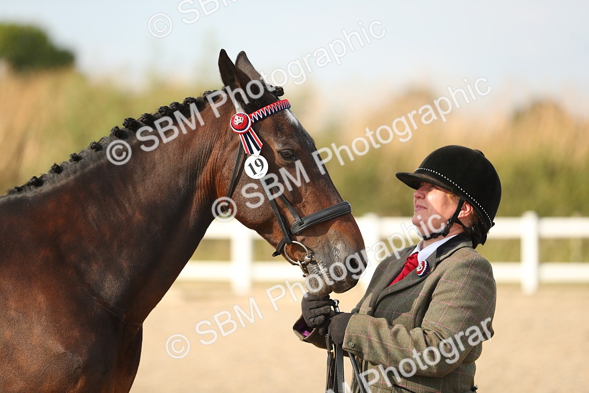 SBM_08595 - Class 28 - IH Veteran Horse