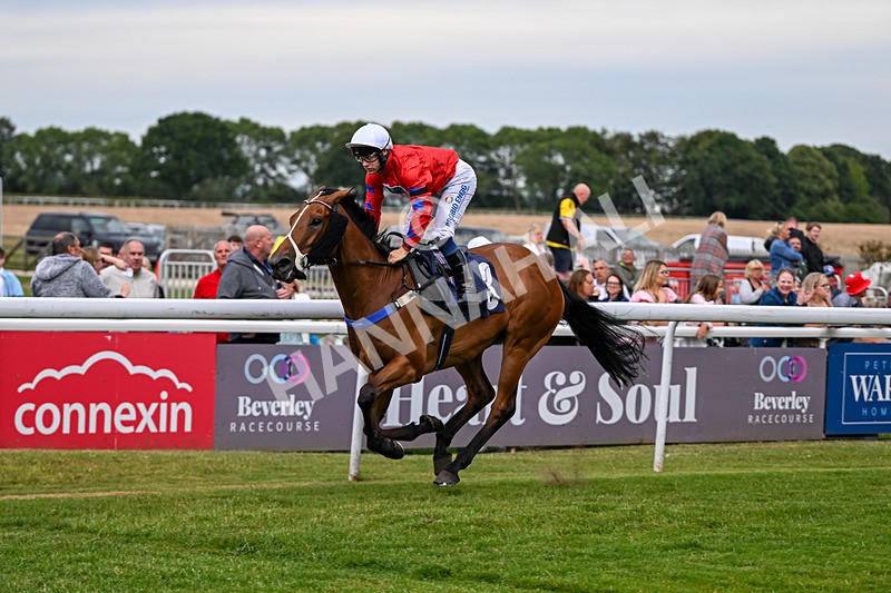 030726-Race 4-Midnight Strike-1335 - Race 4 19.35pm Westwood Selling Stakes
