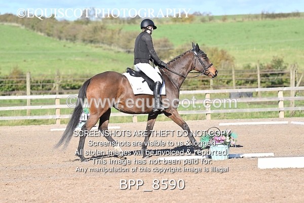BPP_8590 - SHORT ARENA INTRO 3