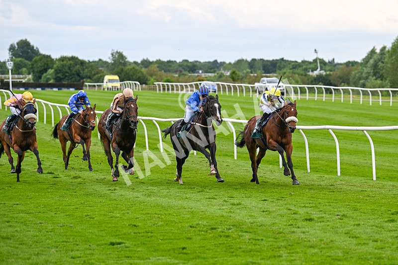 180624-Race 4-Animate-0427 - Race 4