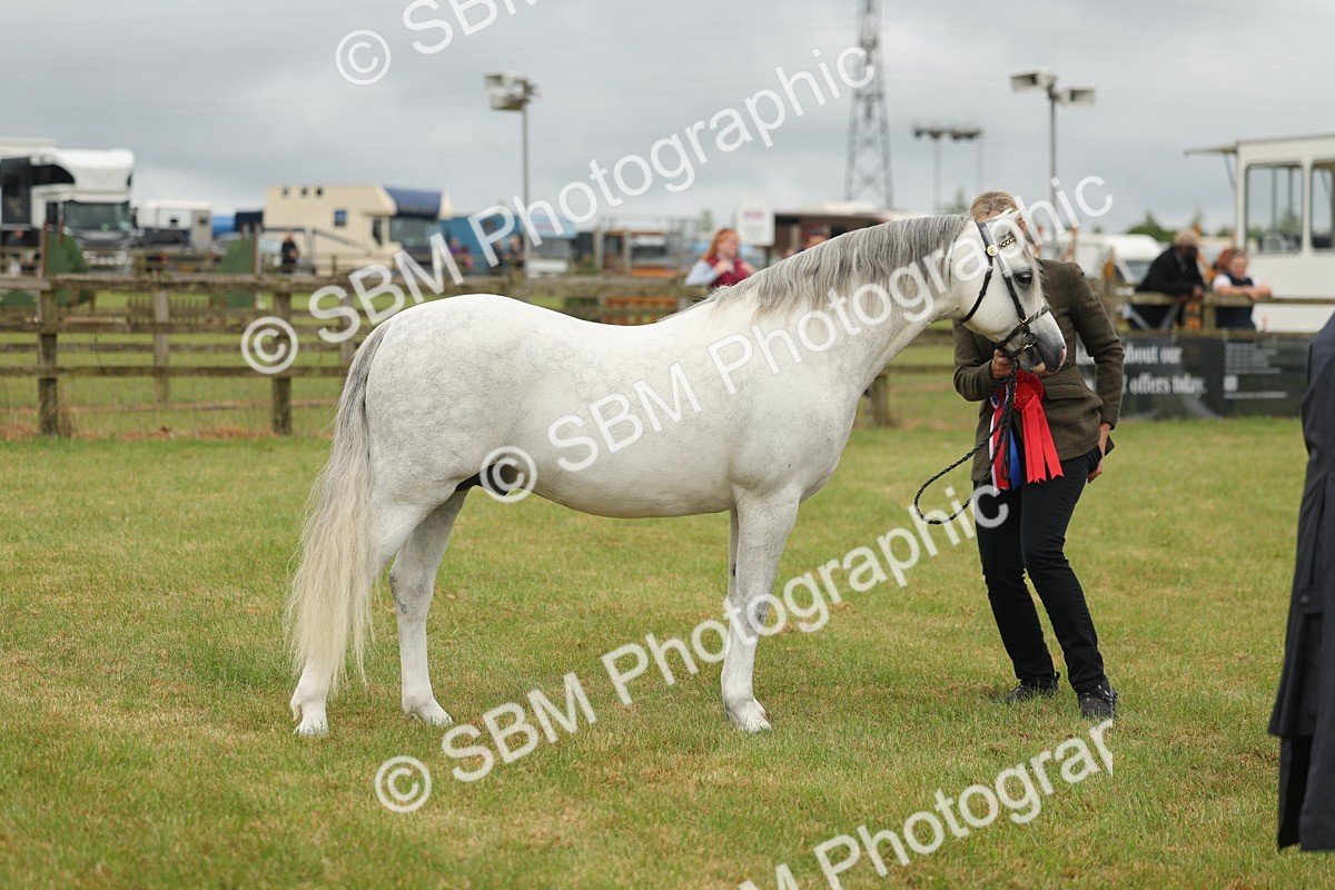 SBM_02296 - Class 50-57 - M&M Welsh Pony In Hand