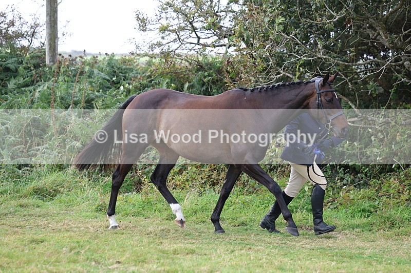 3E7A5647 - In Hand Championship