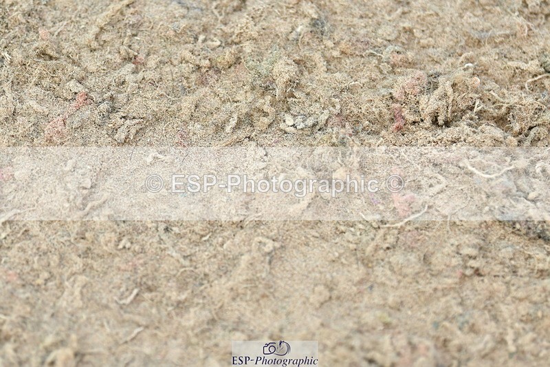 230721A-101420-05043 - Cls 30, 6 Yr Olds 1.20m