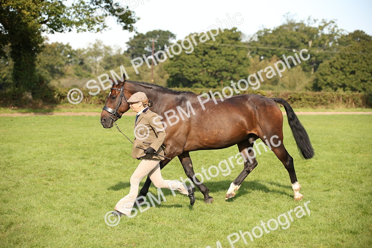 SBM_60089 - S53 - Hunter In Hand