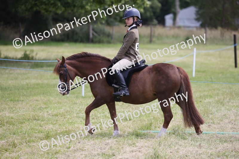 20260614-2103 - Class 21 - Novice Working Hunter Pony