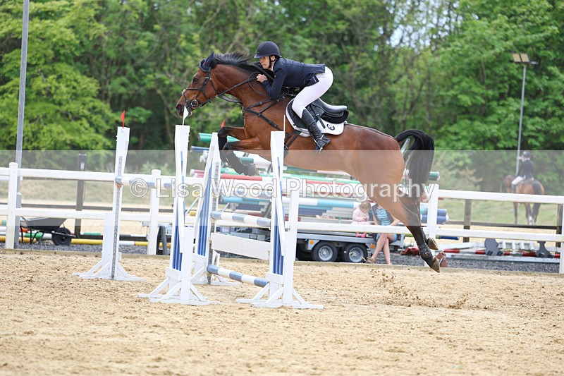 3E7A7624 - Class 8: Senior Foxhunter/1.20 open