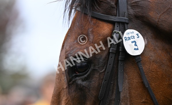 200825-117 Pride Of Arras - Race 3 3.00pm Sky Bet Great Voltigeur Stakes