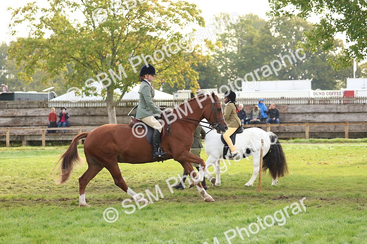 SBM_56590 - S40 - Starters Ridden Showing