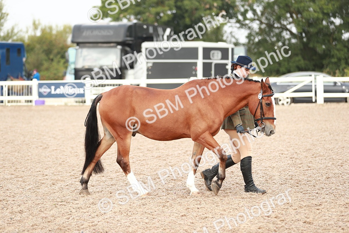 SBM_09482 - Class 201 Best Turned Out IH