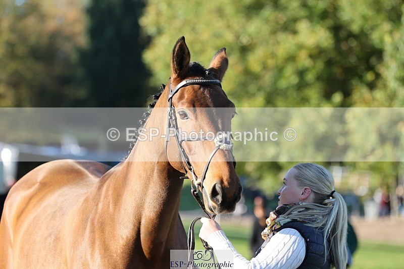 241027-085043-14845 - 359- Harriet Birkby- CBH CLOVER LINING