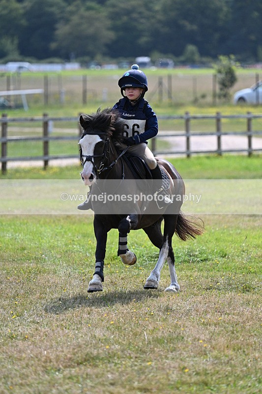 WJ7_2095 - 60cm Time 12:48 to 13:02