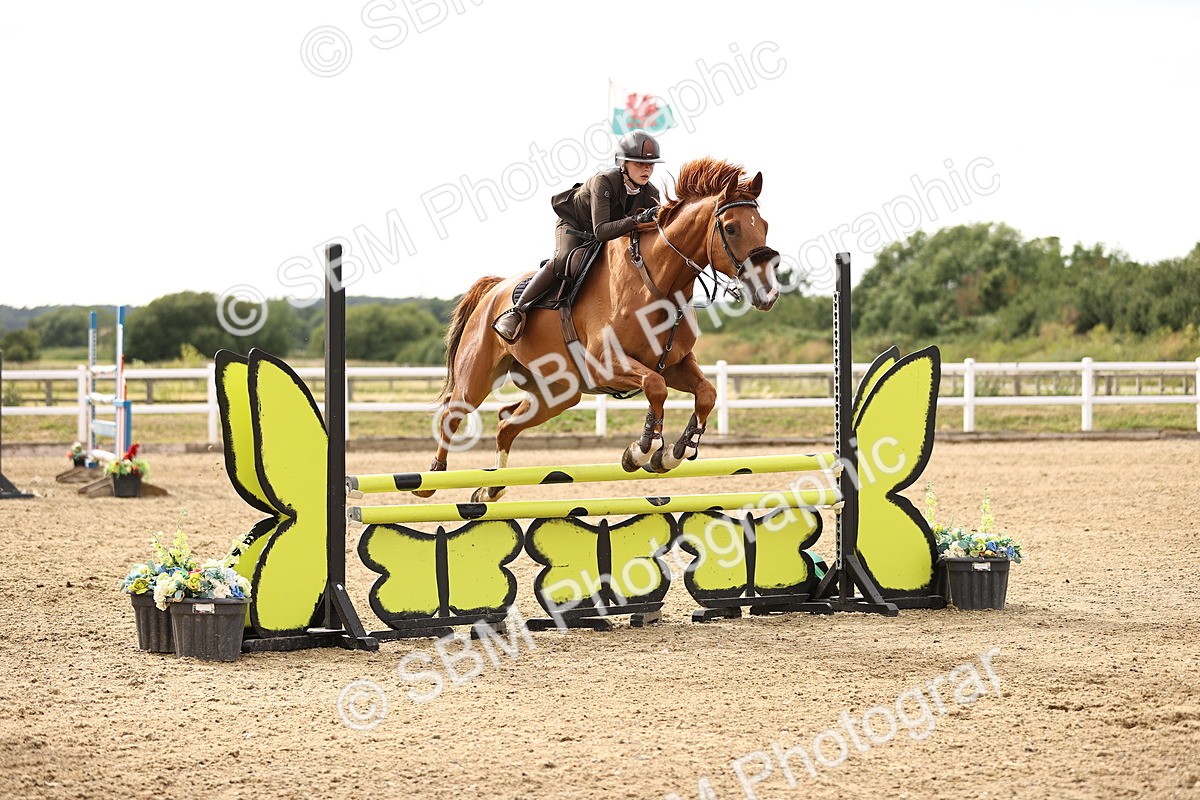 SBM_004795 - Class 24 - Arit Senior British Novice - 90cm