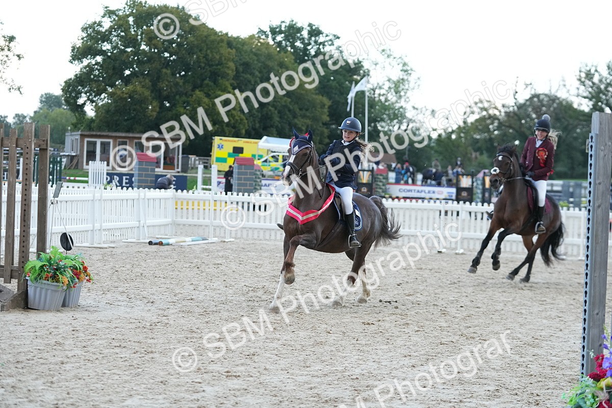 SBM_54269 - Supreme Championship 60cm 65cm
